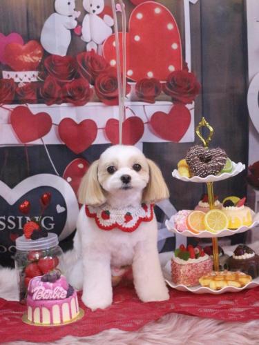 20250226みるくちゃん